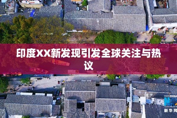 印度XX新发现引发全球关注与热议