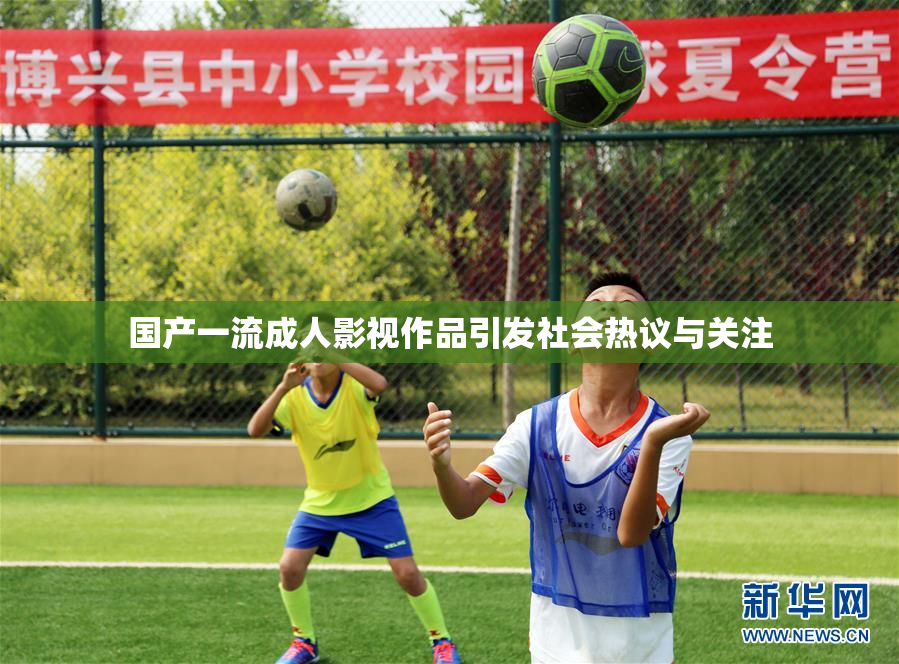 国产一流成人影视作品引发社会热议与关注