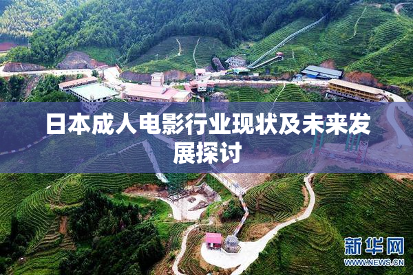 日本成人电影行业现状及未来发展探讨