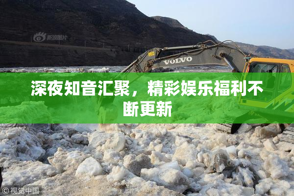深夜知音汇聚，精彩娱乐福利不断更新