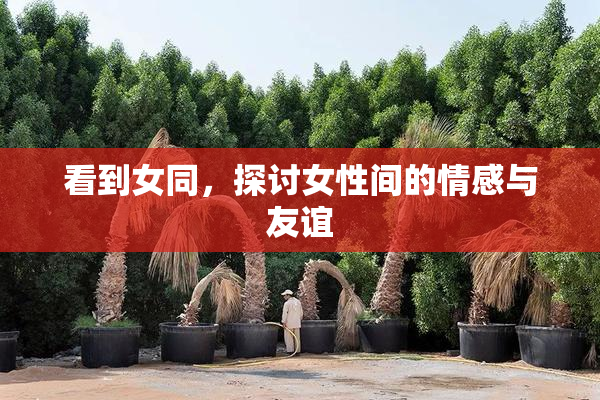 看到女同，探讨女性间的情感与友谊