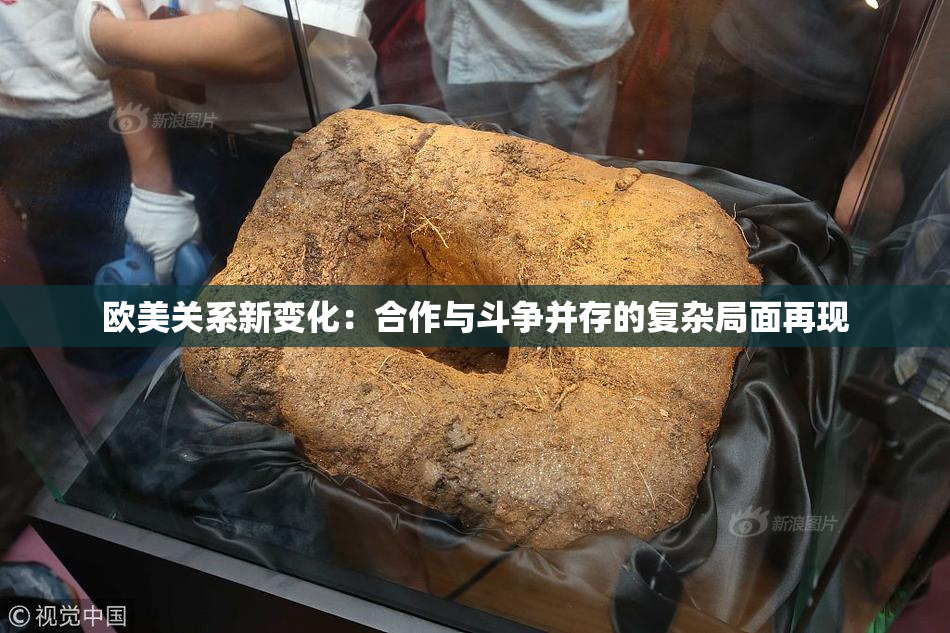 欧美关系新变化：合作与斗争并存的复杂局面再现