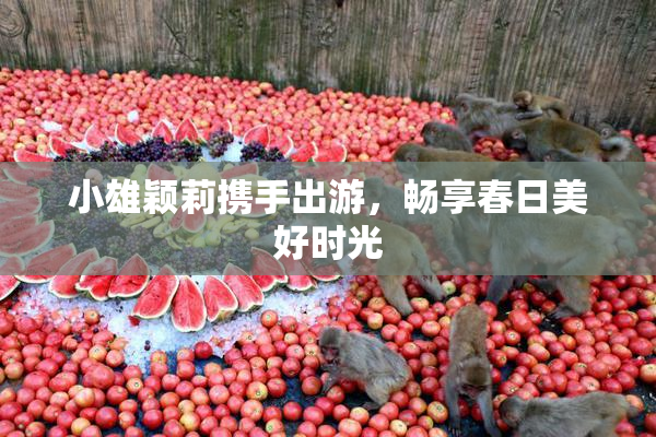 小雄颖莉携手出游，畅享春日美好时光