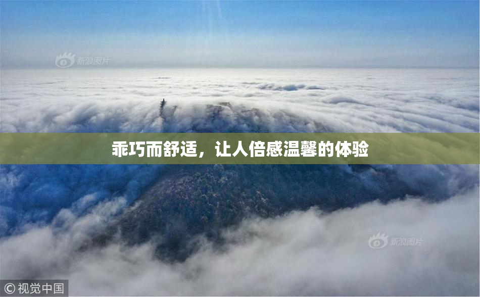 乖巧而舒适，让人倍感温馨的体验
