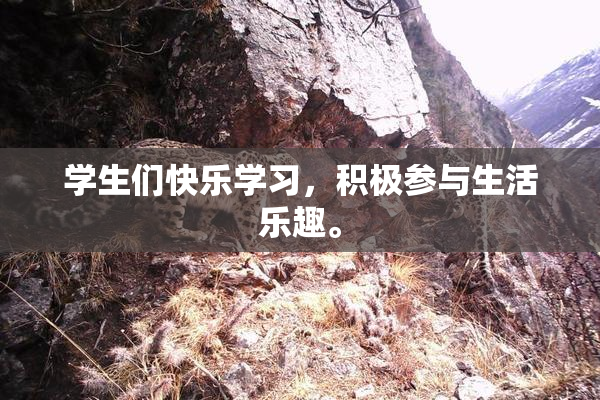 学生们快乐学习，积极参与生活乐趣。