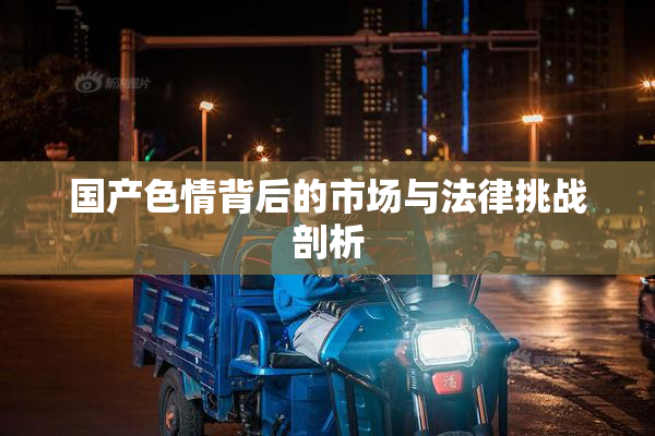 国产色情背后的市场与法律挑战剖析