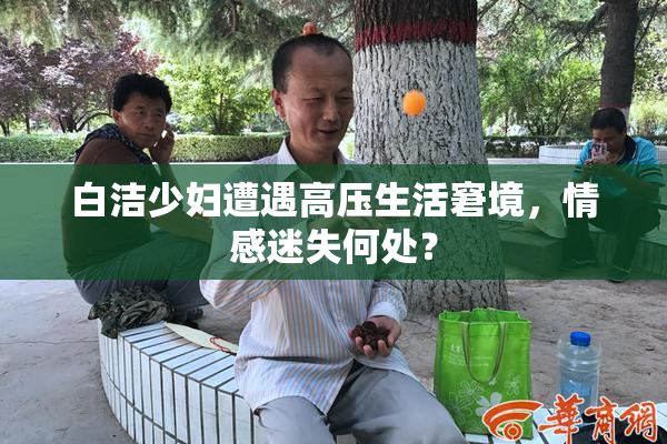 白洁少妇遭遇高压生活窘境，情感迷失何处？