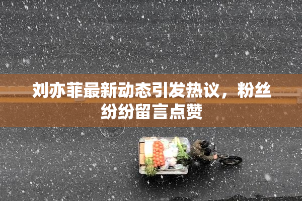 刘亦菲最新动态引发热议，粉丝纷纷留言点赞