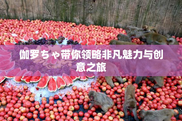 伽罗ちゃ带你领略非凡魅力与创意之旅