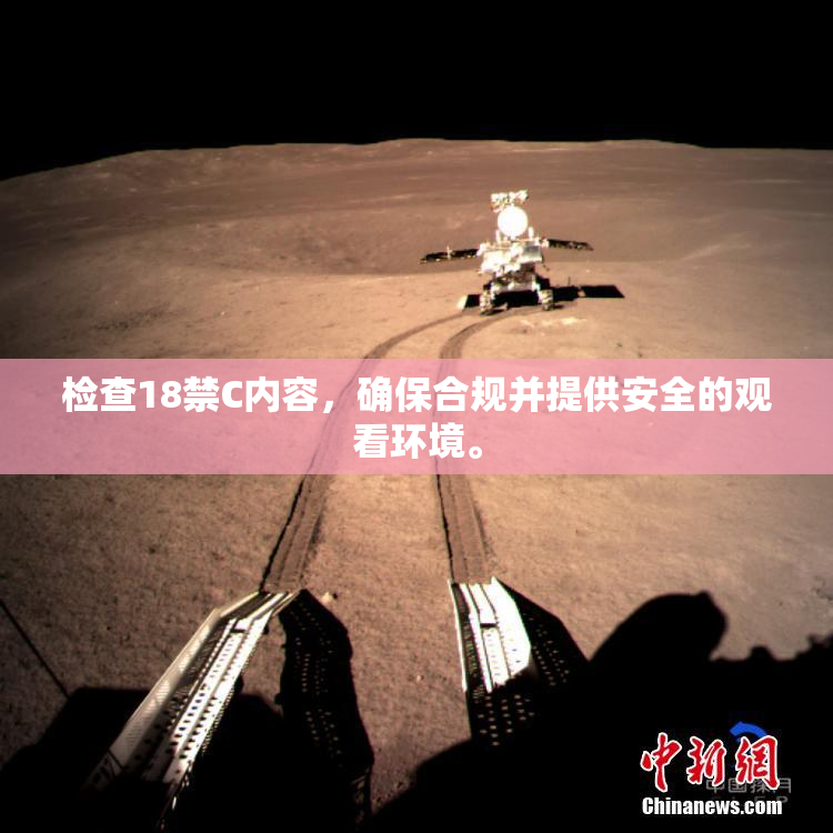 检查18禁C内容，确保合规并提供安全的观看环境。