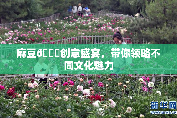 麻豆🔞创意盛宴，带你领略不同文化魅力