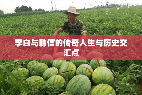 李白与韩信的传奇人生与历史交汇点