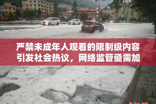 严禁未成年人观看的限制级内容引发社会热议，网络监管亟需加强！