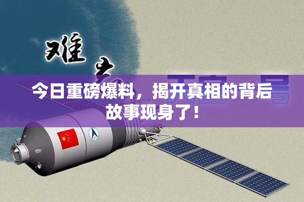 今日重磅爆料，揭开真相的背后故事现身了！
