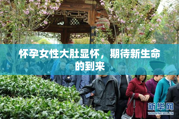 怀孕女性大肚显怀，期待新生命的到来