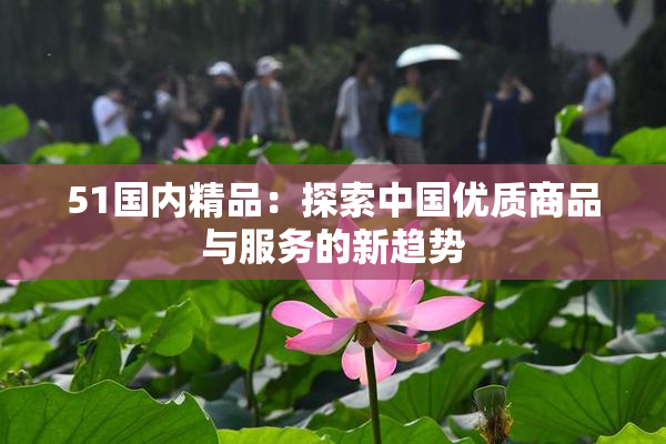 51国内精品：探索中国优质商品与服务的新趋势