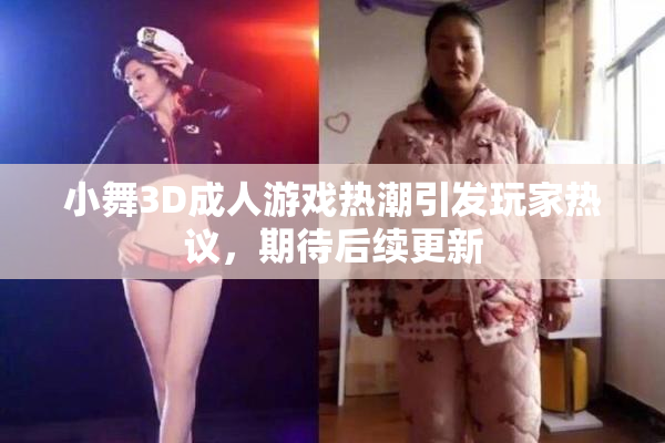 小舞3D成人游戏热潮引发玩家热议，期待后续更新