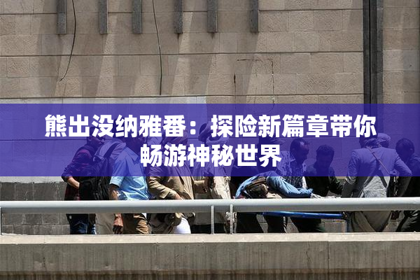熊出没纳雅番：探险新篇章带你畅游神秘世界
