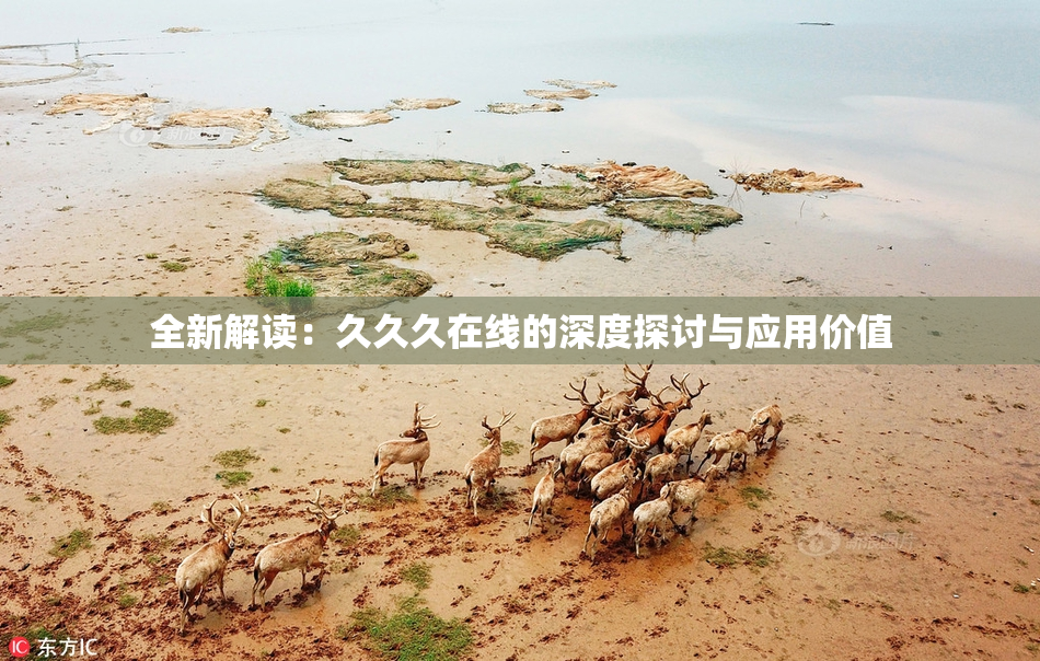 全新解读：久久久在线的深度探讨与应用价值