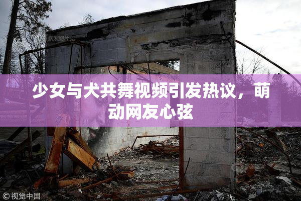 少女与犬共舞视频引发热议，萌动网友心弦