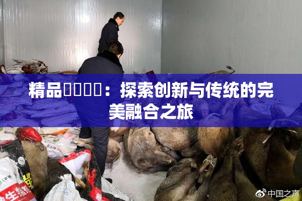 精品❌‌❌‌：探索创新与传统的完美融合之旅