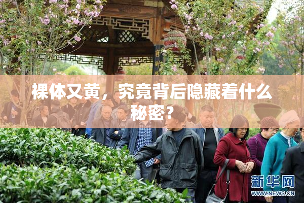 裸体又黄，究竟背后隐藏着什么秘密？