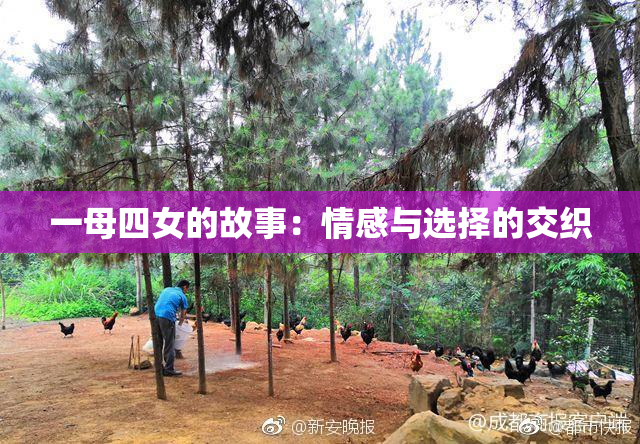 一母四女的故事：情感与选择的交织