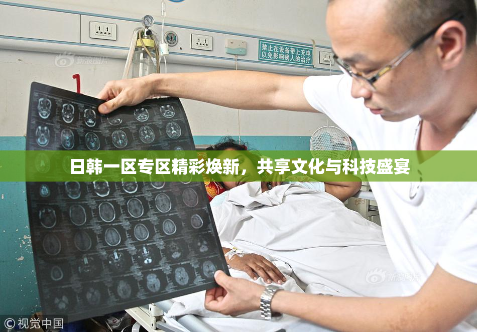 日韩一区专区精彩焕新，共享文化与科技盛宴