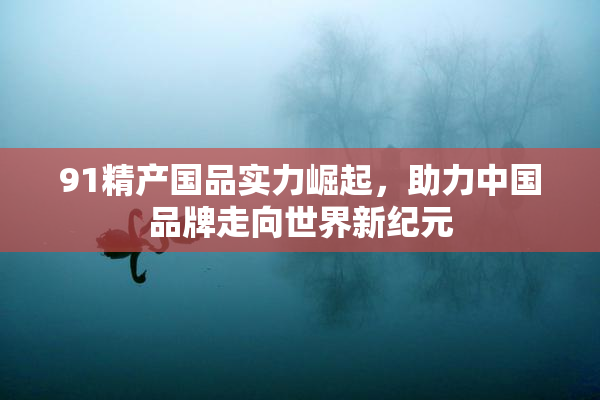 91精产国品实力崛起，助力中国品牌走向世界新纪元