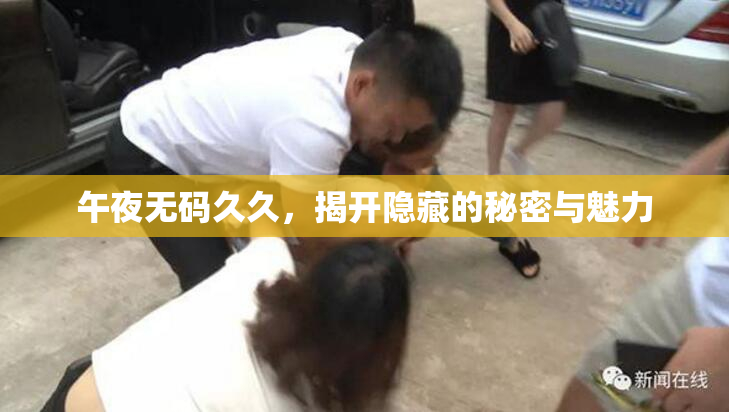 午夜无码久久，揭开隐藏的秘密与魅力