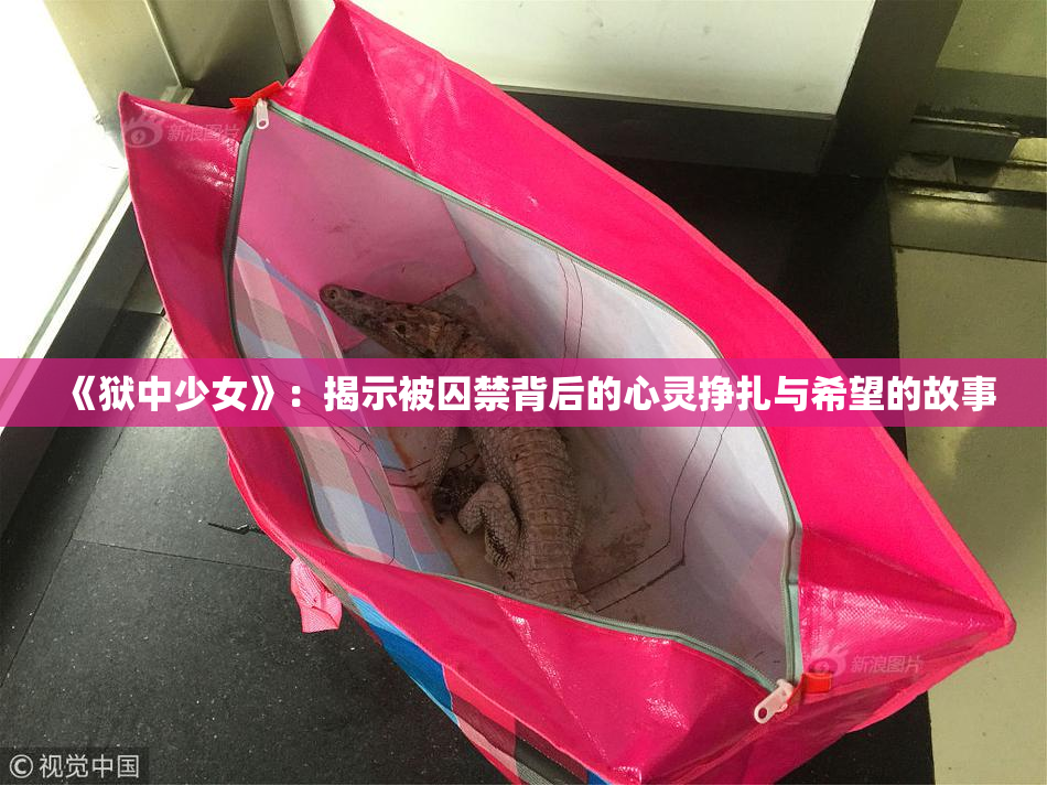 《狱中少女》：揭示被囚禁背后的心灵挣扎与希望的故事