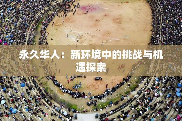 永久华人：新环境中的挑战与机遇探索