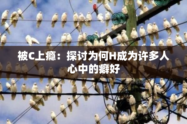 被C上瘾：探讨为何H成为许多人心中的癖好