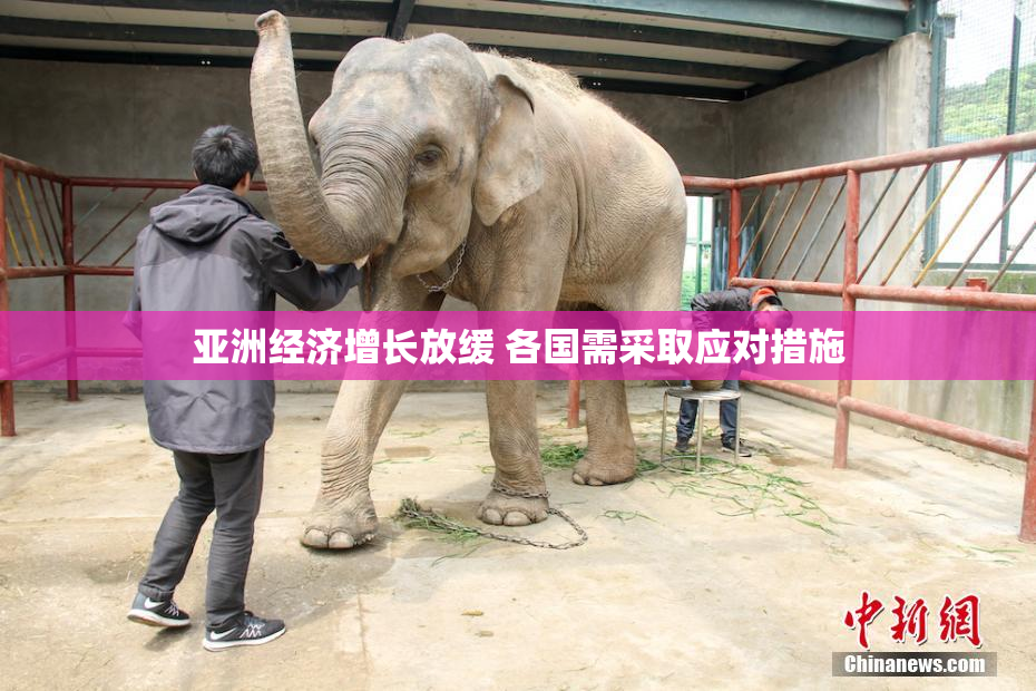 亚洲经济增长放缓 各国需采取应对措施