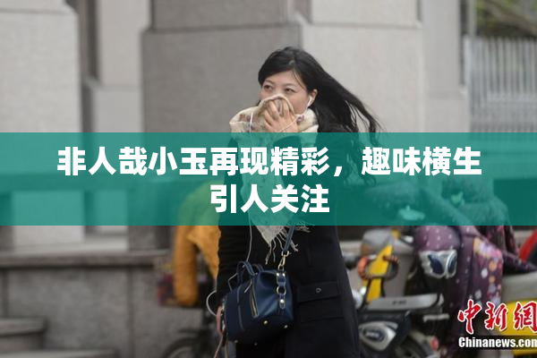非人哉小玉再现精彩，趣味横生引人关注