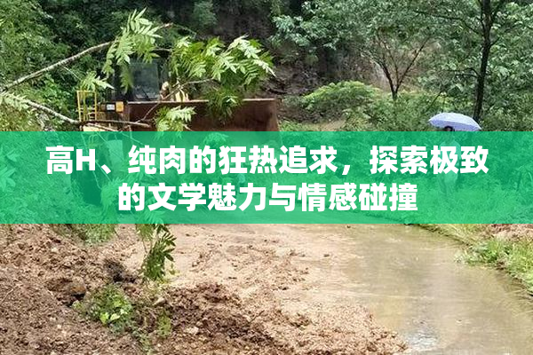 高H、纯肉的狂热追求，探索极致的文学魅力与情感碰撞
