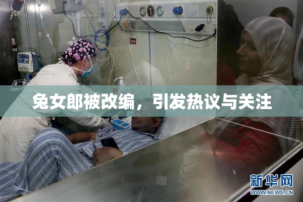 兔女郎被改编，引发热议与关注