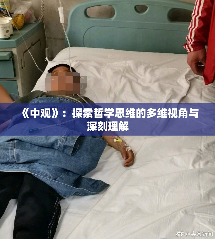 《中观》：探索哲学思维的多维视角与深刻理解