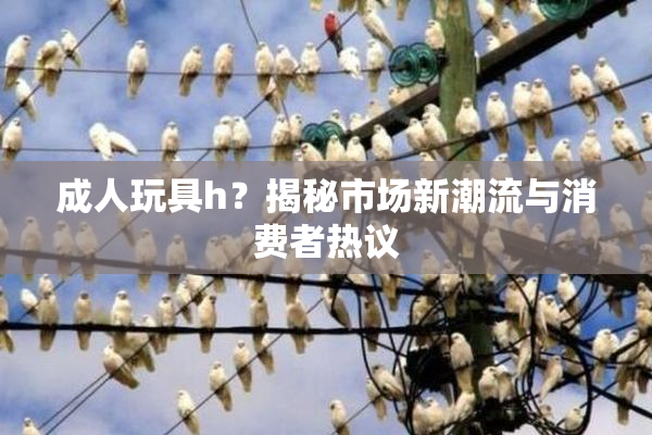 成人玩具h？揭秘市场新潮流与消费者热议