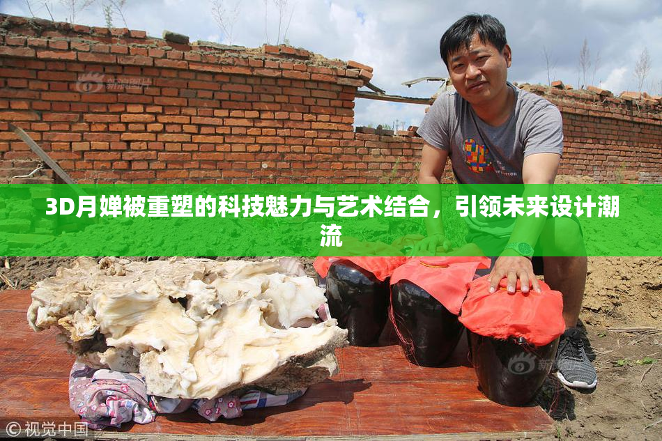 3D月婵被重塑的科技魅力与艺术结合，引领未来设计潮流