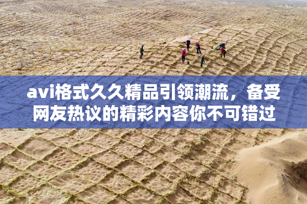 avi格式久久精品引领潮流，备受网友热议的精彩内容你不可错过！