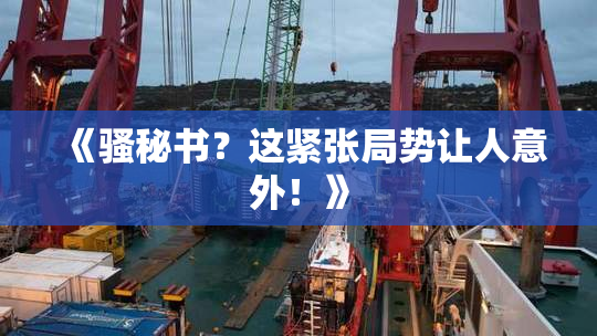 《骚秘书？这紧张局势让人意外！》