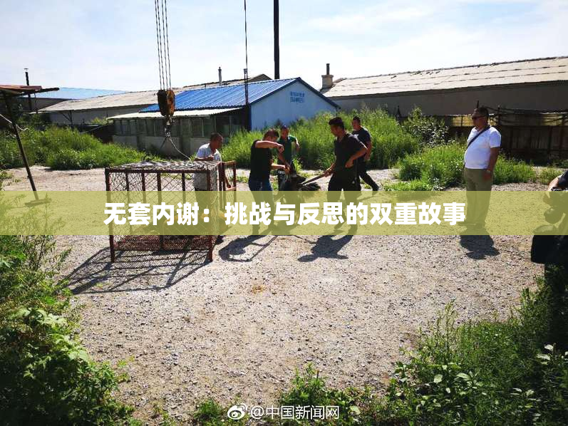 无套内谢：挑战与反思的双重故事