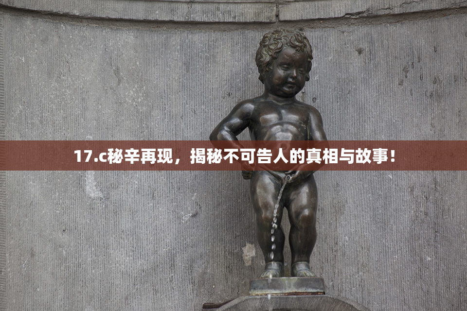 17.c秘辛再现，揭秘不可告人的真相与故事！