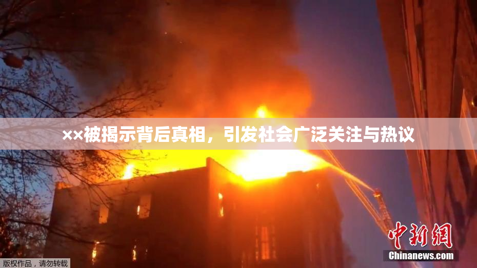 ××被揭示背后真相，引发社会广泛关注与热议