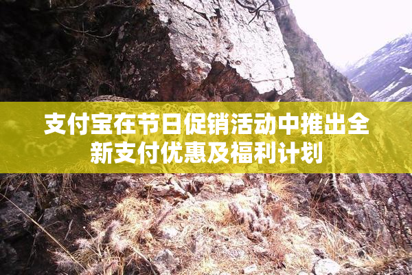 支付宝在节日促销活动中推出全新支付优惠及福利计划