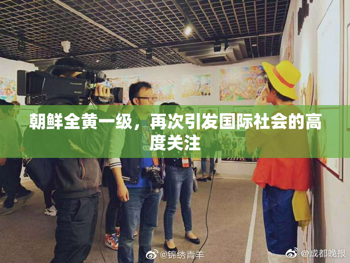 朝鲜全黄一级，再次引发国际社会的高度关注