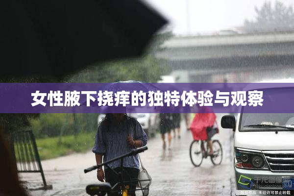 女性腋下挠痒的独特体验与观察