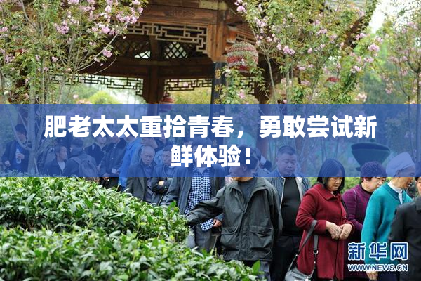 肥老太太重拾青春，勇敢尝试新鲜体验！