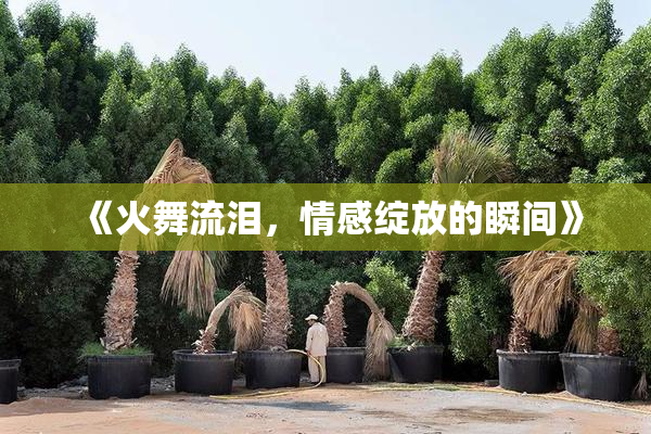 《火舞流泪，情感绽放的瞬间》